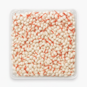 Premium rui batti Cotton wick