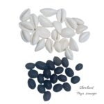 Shrichand-kamal-gatta-kaudi