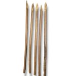 Shrichand Anar kalam