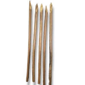 Shrichand Anar kalam