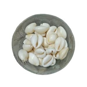 Shrichand Kaudi – Sacred Cowrie Shells for Mahalakshmi, Vishnu & Kuber Puja (100g)